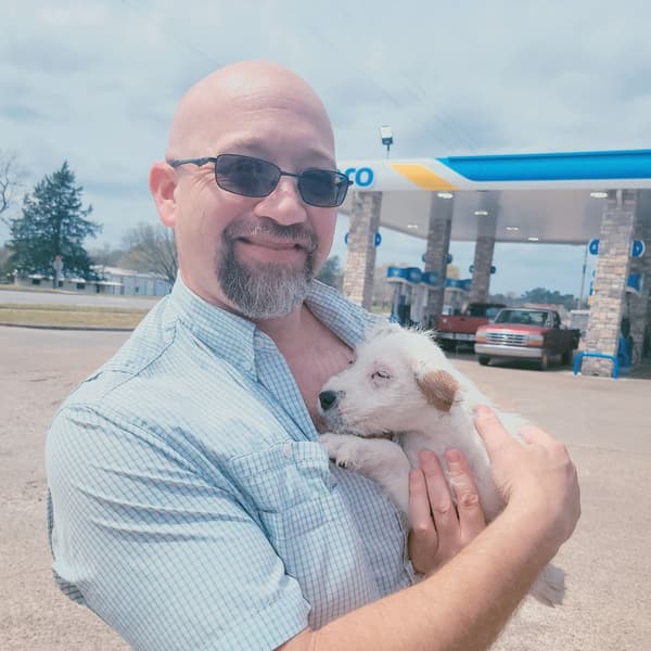 Customer photo of Jack Russell Terrier puppy from Brad S.