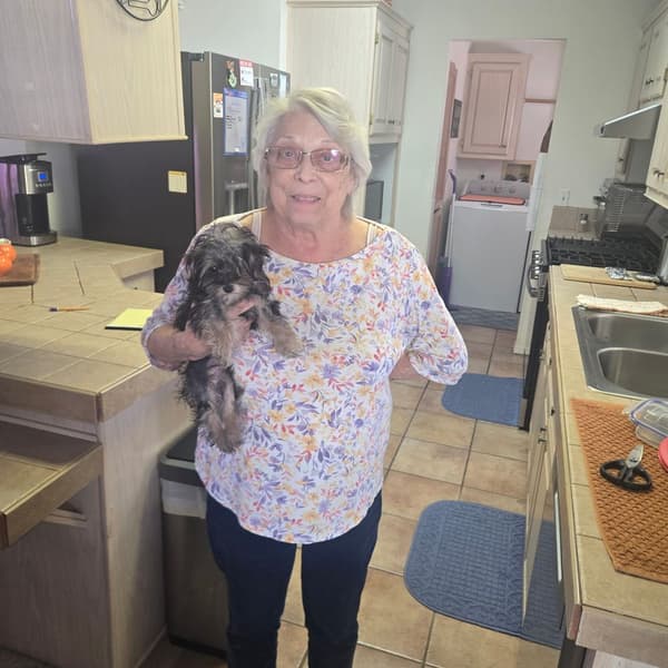 Customer photo of Yorkiepoo - Yorkie Poo puppy from Chris S.