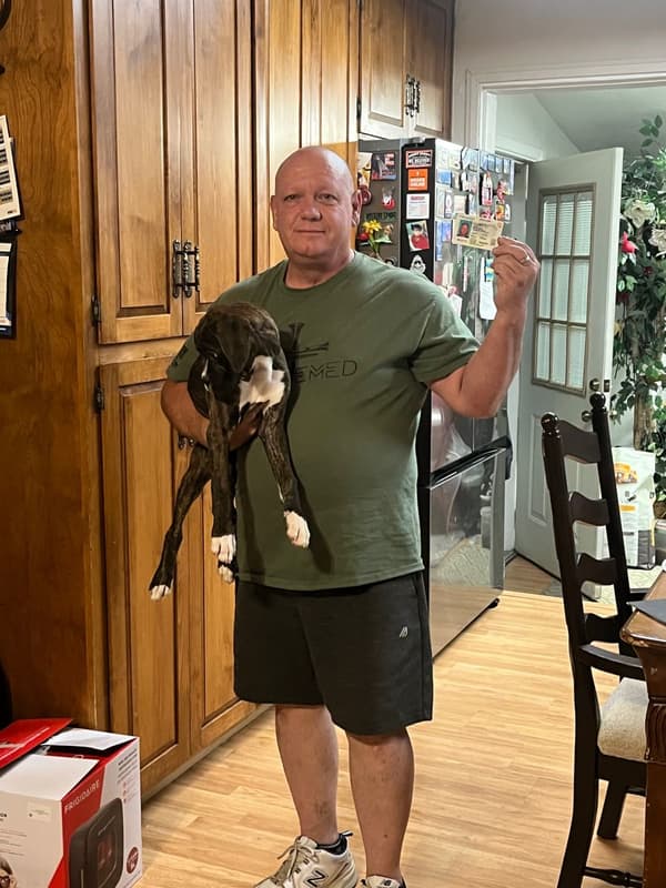 Customer photo of Boxer puppy from Mark D.