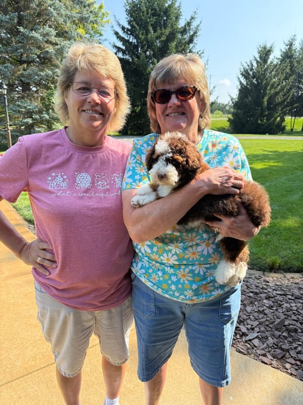 Customer photo of Bernedoodle puppy from Jami P.