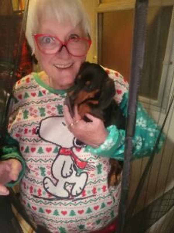 Customer photo of Dachshund, Mini puppy from Elizabeth W.
