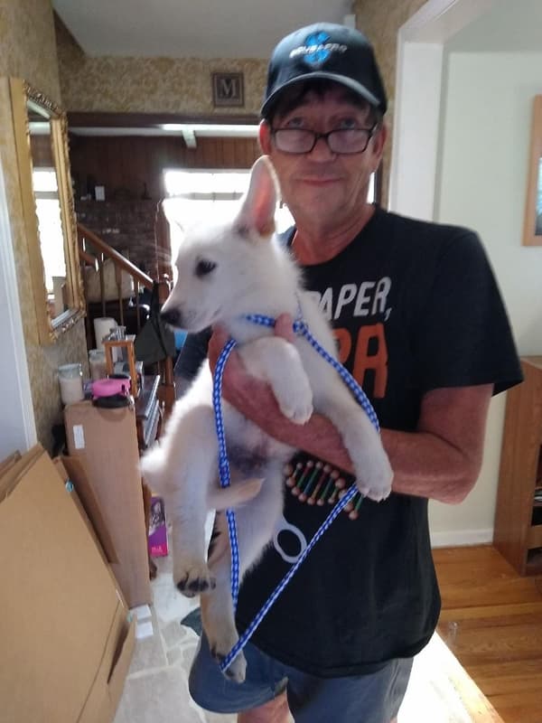 Customer photo of Cockapoo puppy from Paul M.