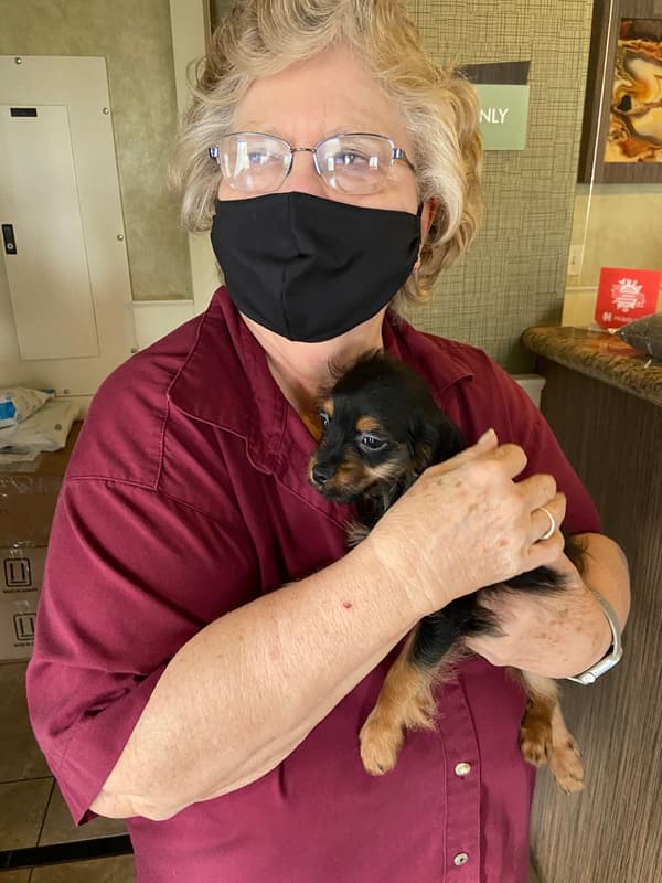 Customer photo of Cavapoo puppy from Cathy E.