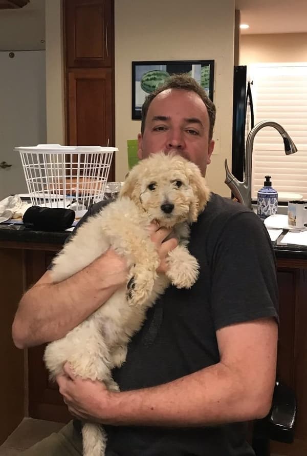 Customer photo of Goldendoodle puppy from Elizabeth S.