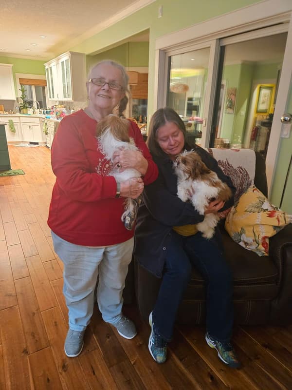 Customer photo of Shih Tzu puppy from Stephanie A.