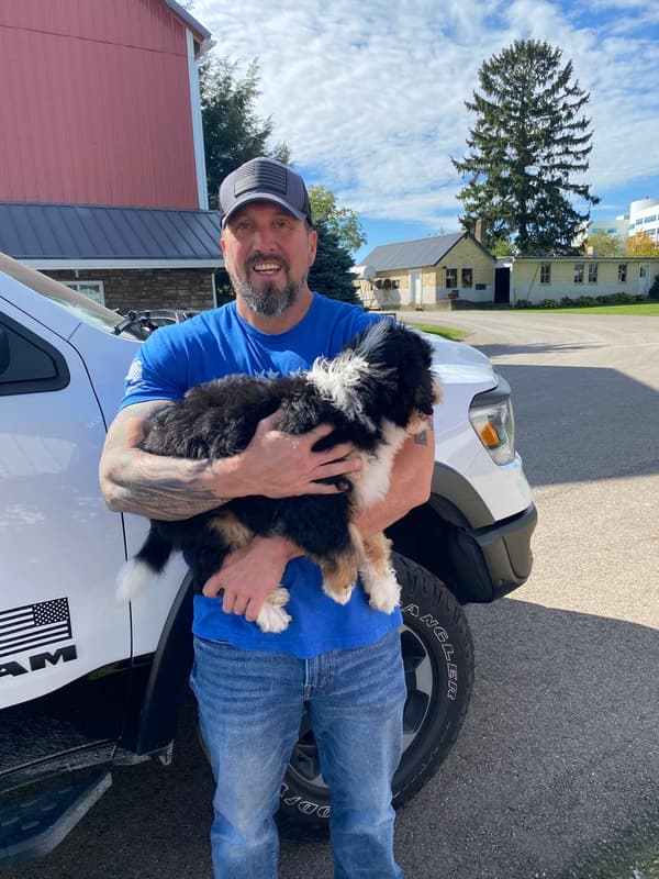 Customer photo of Bernedoodle, Mini puppy from Edward H. 