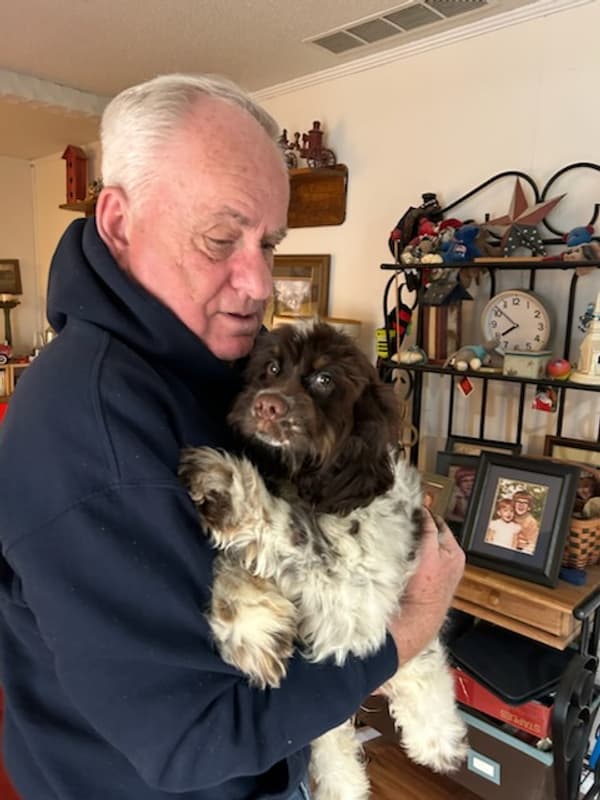 Customer photo of Cocker Spaniel puppy from James B.