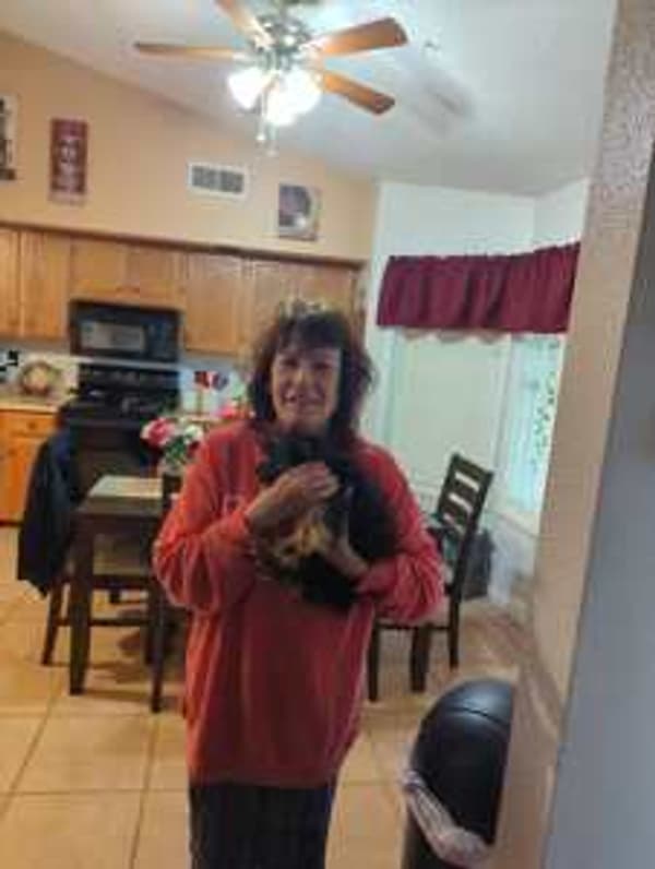 Customer photo of Yorkiepoo - Yorkie Poo puppy from Angelique V.