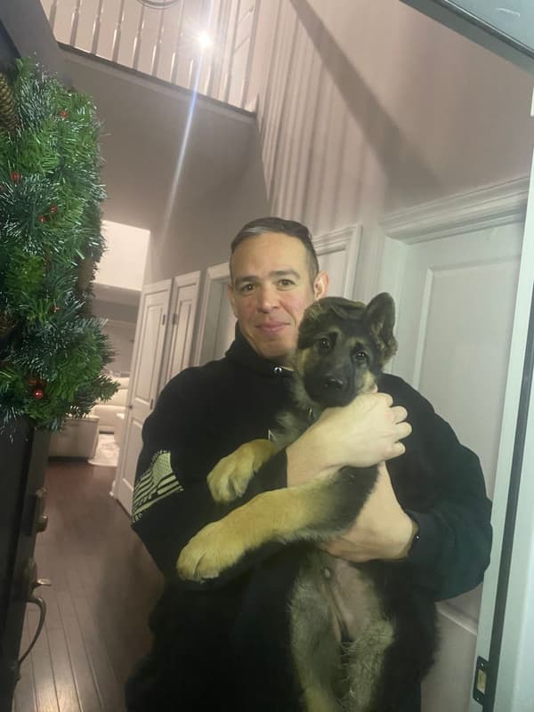 Customer photo of German Shepherd puppy from Robert K.