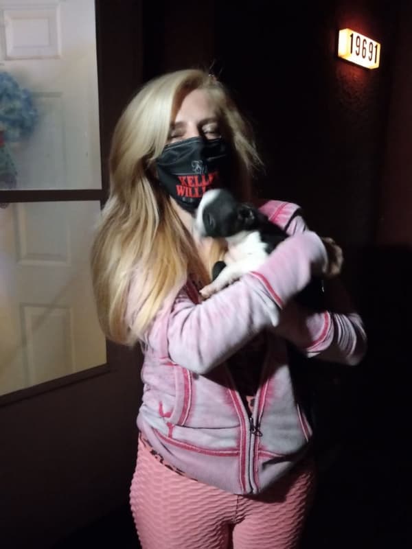 Customer photo of Boston Terrier puppy from Tracee C.