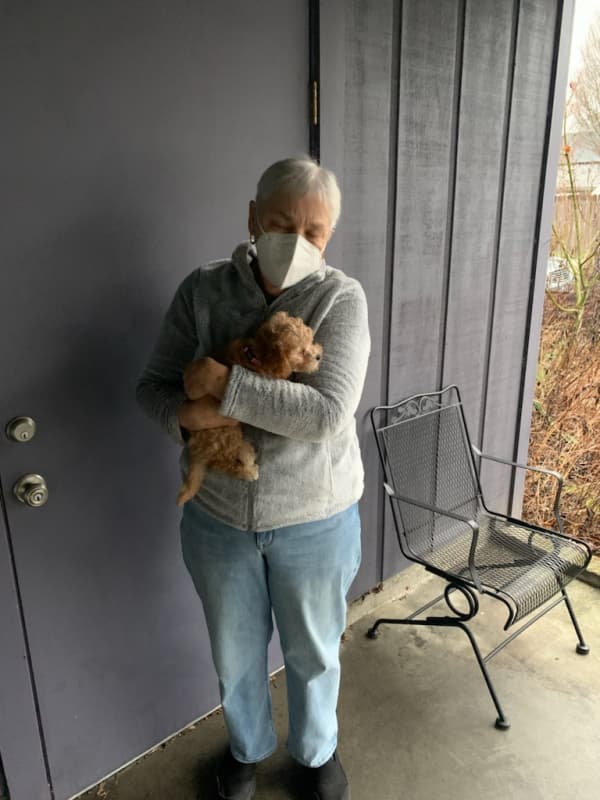 Customer photo of Malti Poo - Maltipoo puppy from Mary R.