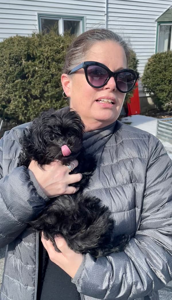 Customer photo of Malti Poo - Maltipoo puppy from Gillian C.