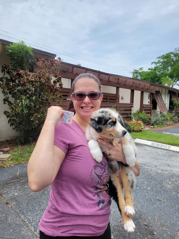 Customer photo of Australian Shepherd puppy from Megan N.