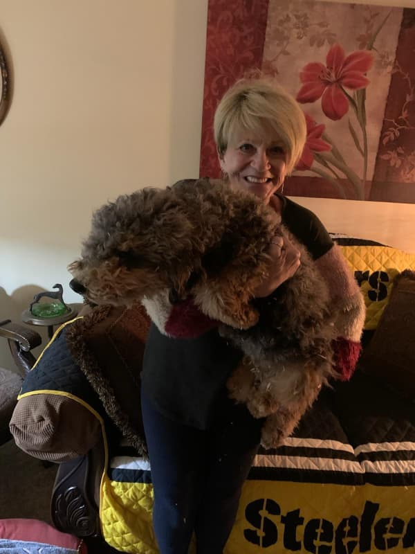 Customer photo of Aussiedoodle puppy from Marcia P.