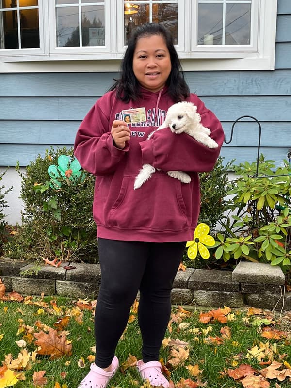 Customer photo of Bichon Frise puppy from Cathereen J.