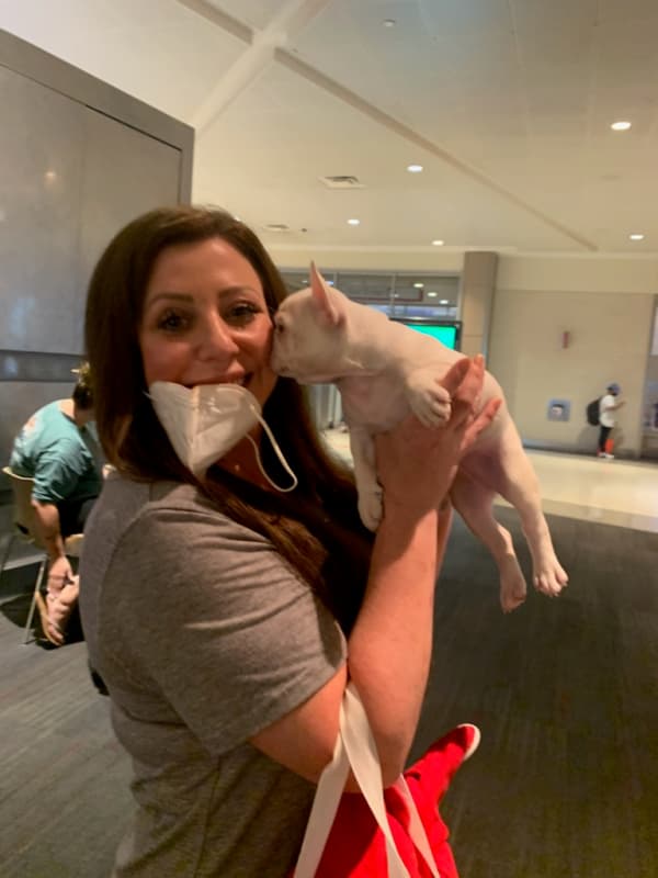 Customer photo of French Bulldog puppy from Nicole A.