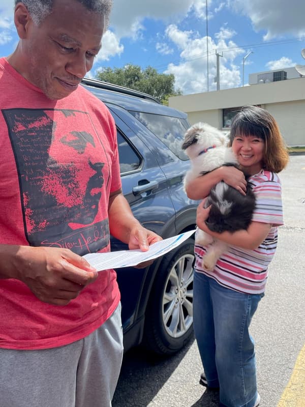 Customer photo of Old English Sheepdog puppy from Tony S.