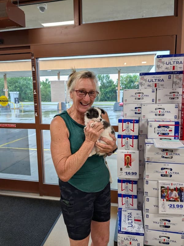 Customer photo of Chihuahua puppy from Sauncie Q.