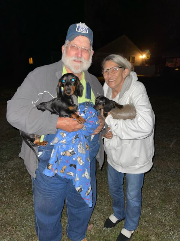 Customer photo of Dachshund, Smooth puppy from Wilburn L.