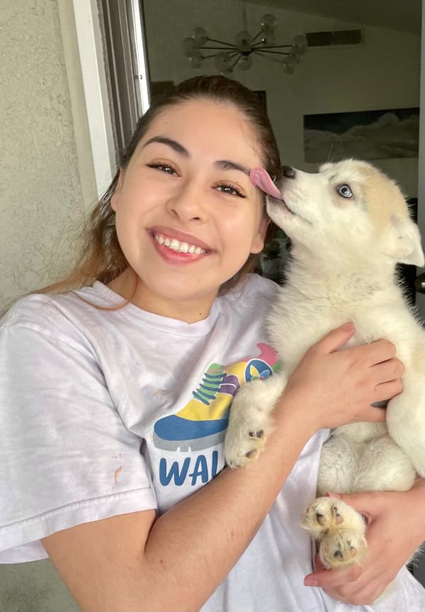 Customer photo of Siberian Husky puppy from Chelly M.