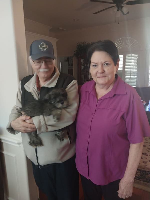 Customer photo of Schnauzer, Miniature puppy from Donna H.