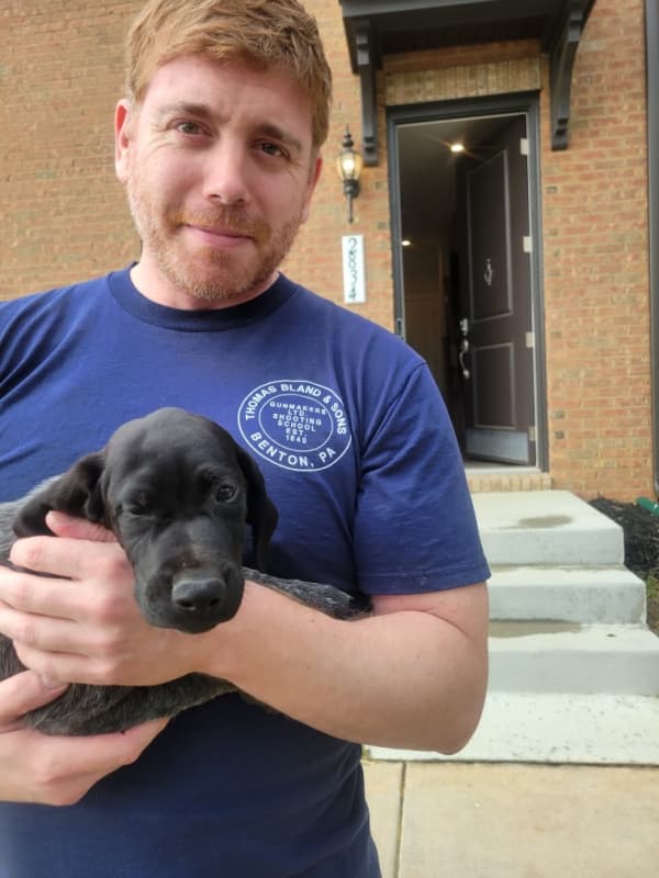 Customer photo of German Shorthaired Pointer puppy from Chad L.