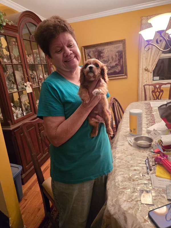 Customer photo of Cavalier King Charles Spaniel puppy from Donna D.