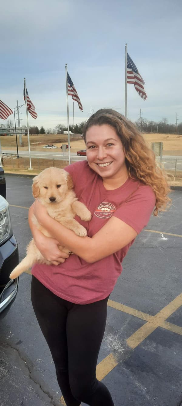 Customer photo of Golden Retriever puppy from Cory C.