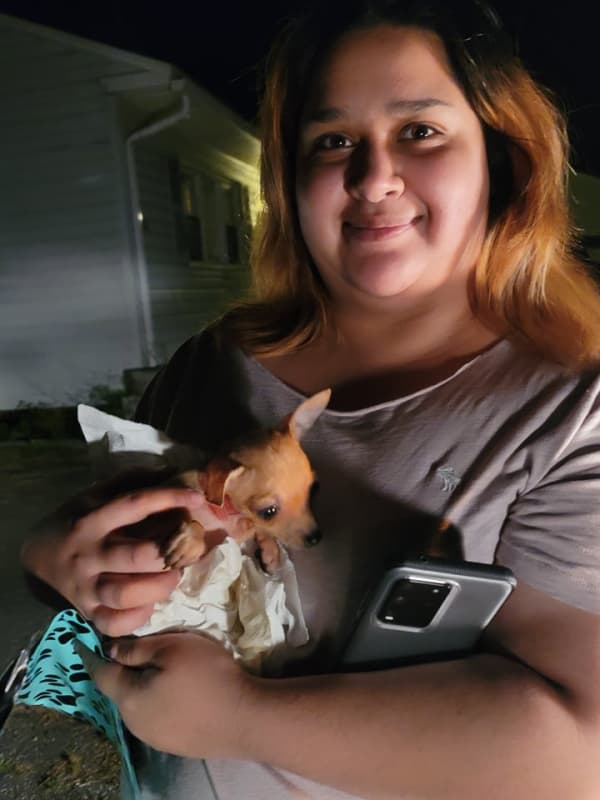 Customer photo of Chihuahua puppy from Jasmine R.