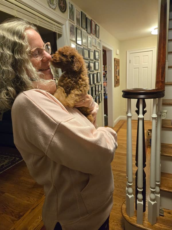 Customer photo of Poodle, Toy puppy from Tamar K.