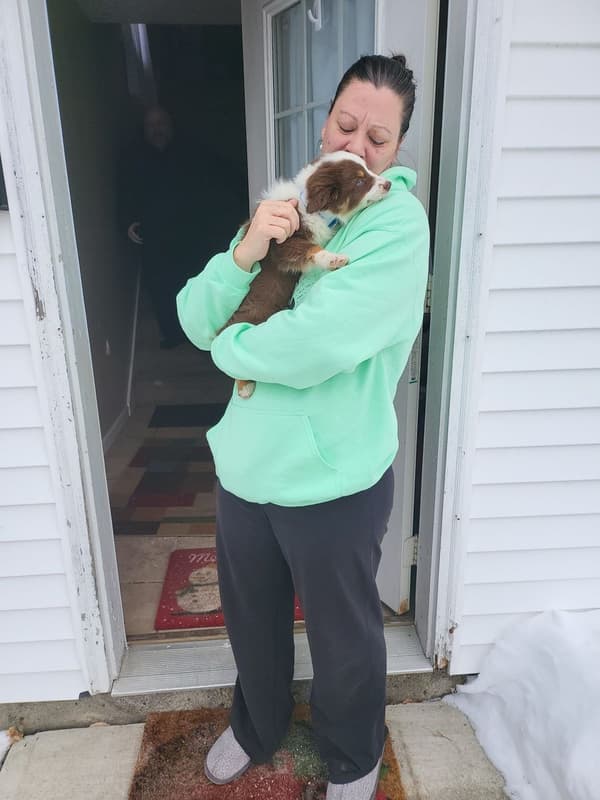 Customer photo of Australian Shepherd puppy from Stephanie P.