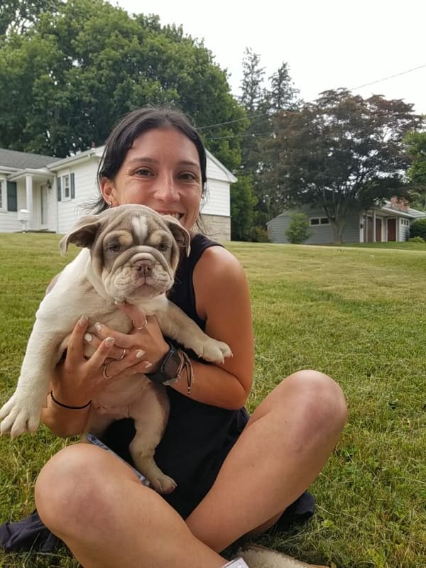 Customer photo of English Bulldog puppy from Ali N.