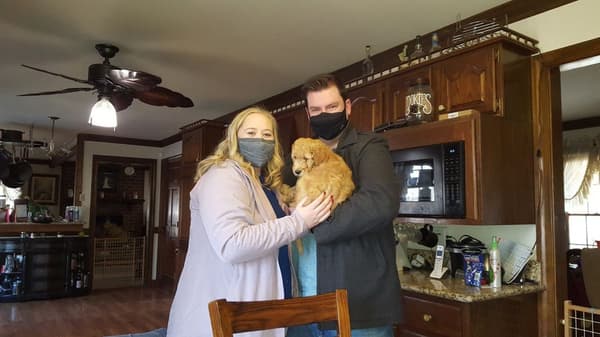 Customer photo of Goldendoodle puppy from Kurt H.