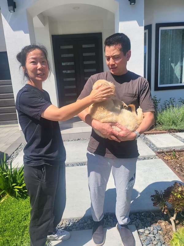 Customer photo of Golden Retriever puppy from Xiamin C.