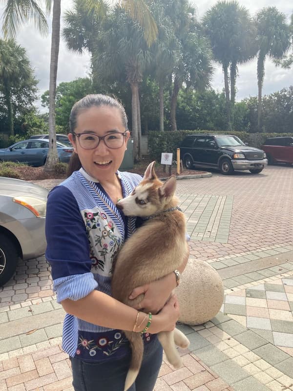 Customer photo of Siberian Husky puppy from Bobo Z.