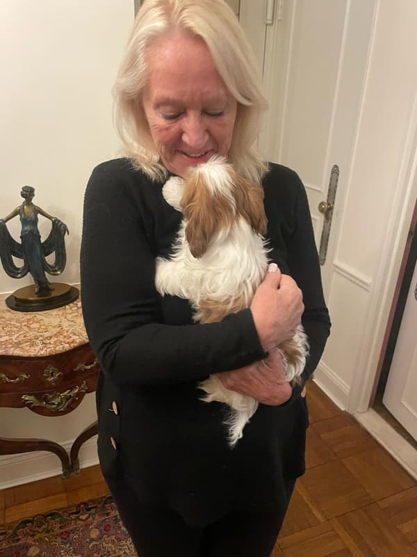 Customer photo of Shih Tzu puppy from Heide M.