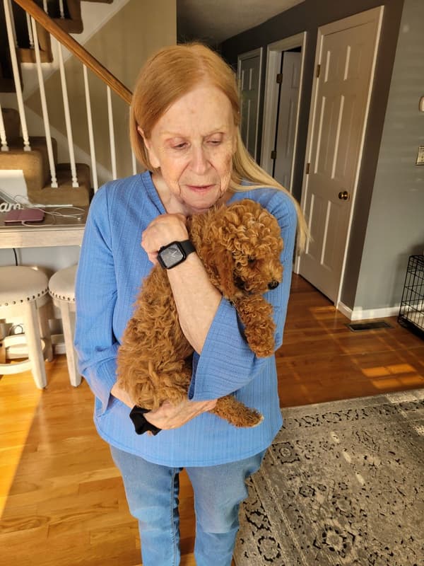 Customer photo of Poodle, Miniature puppy from Diane G.