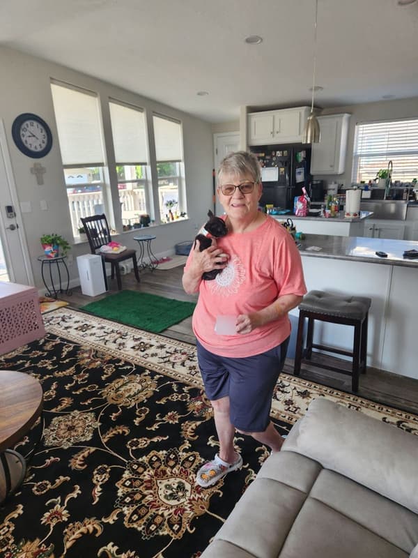 Customer photo of Boston Terrier puppy from Judy M.