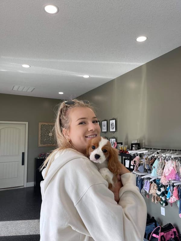 Customer photo of Cavalier King Charles Spaniel puppy from Aino H.