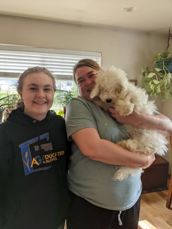 Customer photo of Bichon Frise puppy from Lori G.