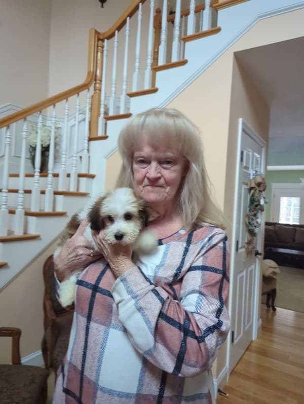 Customer photo of Havanese puppy from Debbie J.