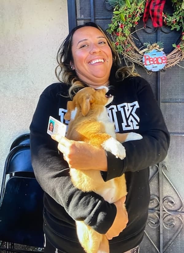 Customer photo of Corgi, Cardigan Welsh puppy from Nora C.