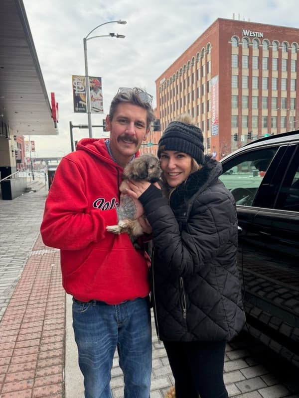 Customer photo of Shih Tzu puppy from Mark K.