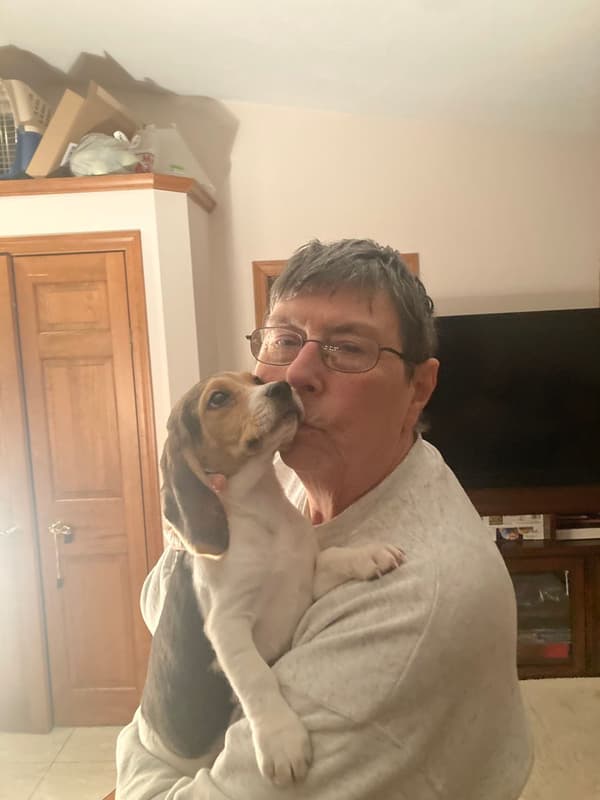 Customer photo of Beagle puppy from Carol S.