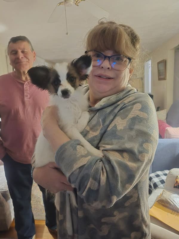 Customer photo of Papillon puppy from Sharon S.