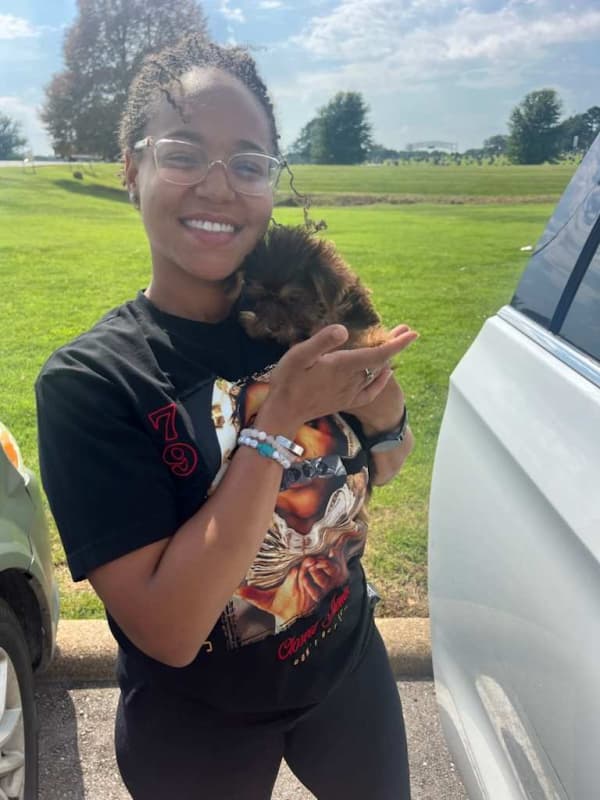 Customer photo of Yorkshire Terrier - Yorkie puppy from Carol G.