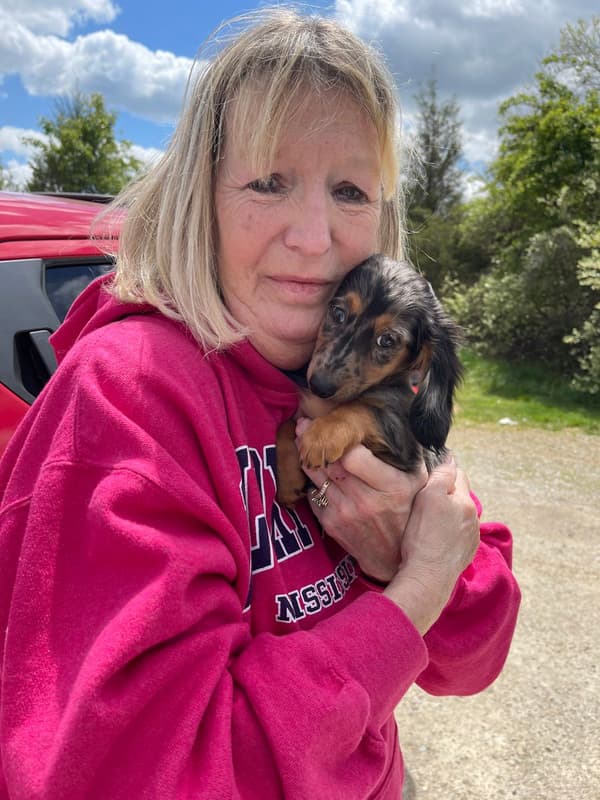 Customer photo of Dachshund puppy from Diane G.