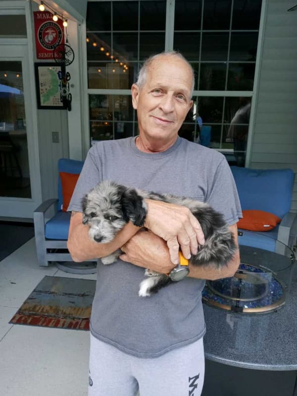 Customer photo of Aussiedoodle puppy from Mary Ann B.