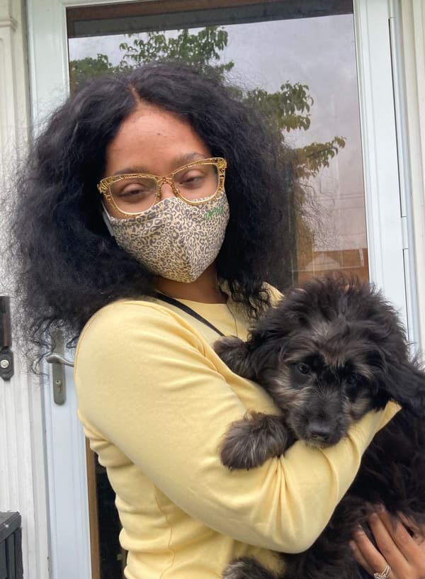 Customer photo of Aussiedoodle puppy from Italia R. 