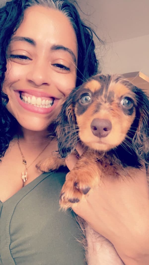 Customer photo of Dachshund, Mini puppy from Lucia N.